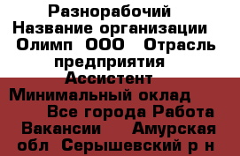 Разнорабочий › Название организации ­ Олимп, ООО › Отрасль предприятия ­ Ассистент › Минимальный оклад ­ 25 000 - Все города Работа » Вакансии   . Амурская обл.,Серышевский р-н